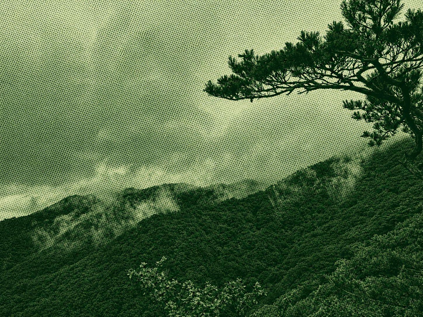 Cheonghwasan Trail