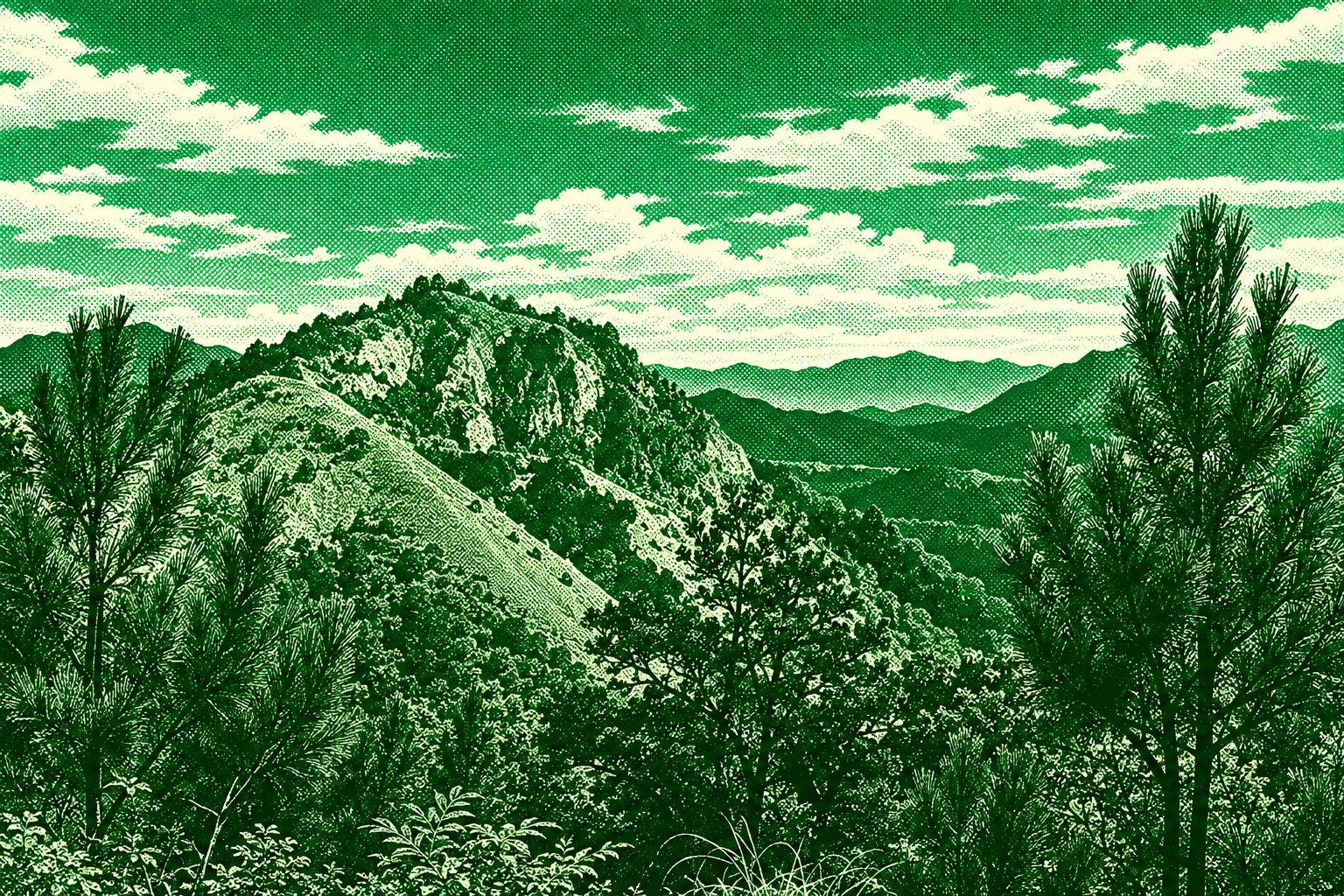 Mount Oten Trail